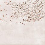 Tapet Coordonné Core 6600086