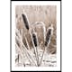 Poster Gallerix Frozen Reeds