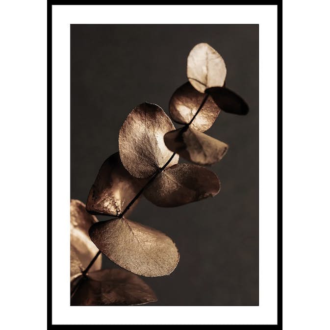 Poster Gallerix Eucalyptus Gold & Brown