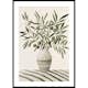 Poster Gallerix Olives In Vase