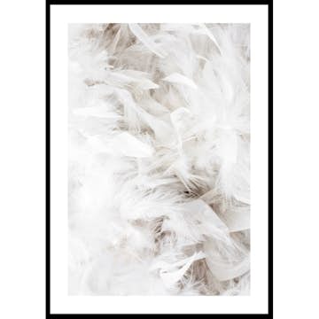 Poster Gallerix White Feathers