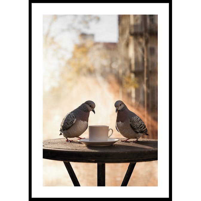 Poster Gallerix Pigeons