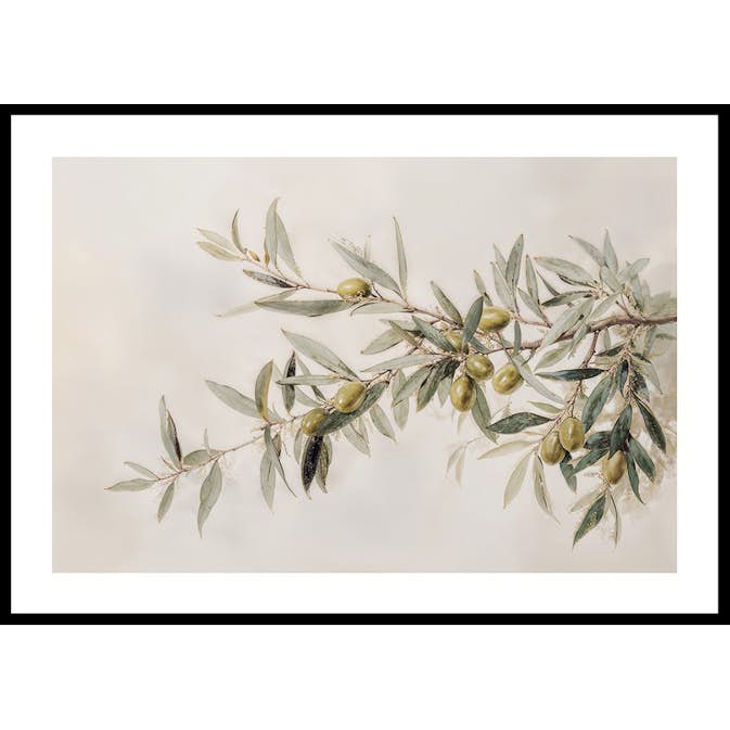 Poster Gallerix Olive Branch Aquarelle