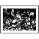 Poster Gallerix Zlatan Ibrahimovic FC barcelona 2009 B&W