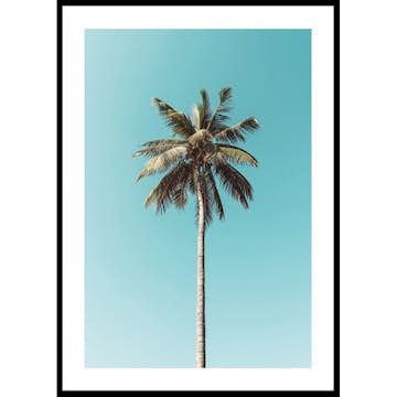 Poster Gallerix Palm Tranquility