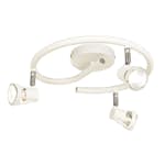 Spotlights Aneta Pixy