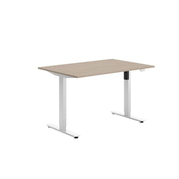 Höj- och Sänkbart Skrivbord Lanab Group Ergofunk 100