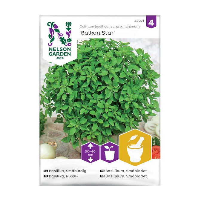 Frö Basilika Nelson Garden Balkon Star Småbladig