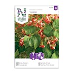 Frö Rosenböna Nelson Garden Hestia Låg