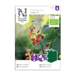 Frö Rosenböna Nelson Garden-Lady Di Organic