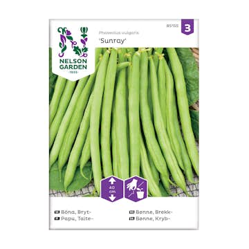 Frö Brytböna Nelson Garden Sunray