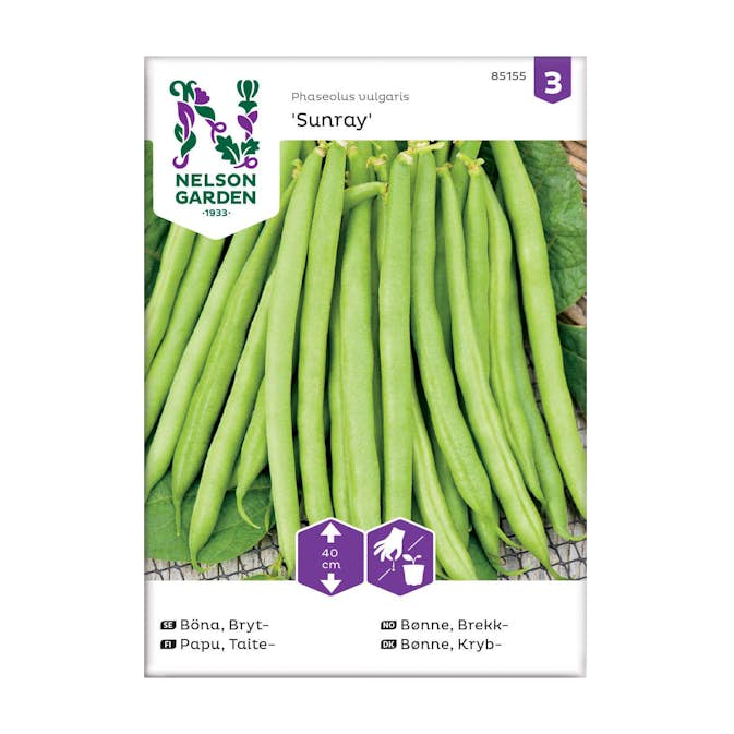 Frö Brytböna Nelson Garden Sunray