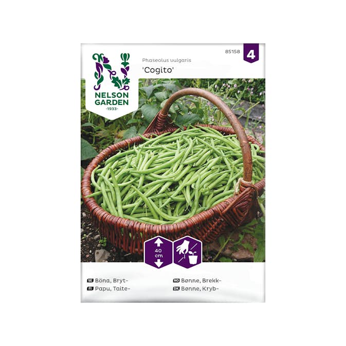 Frö Brytböna Nelson Garden Cogito