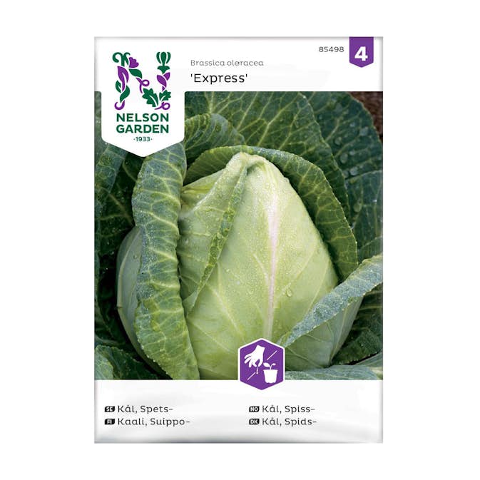Frö Spetskål Nelson Garden Express