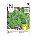 Frö Oregano Nelson Garden Kungsmynta Organic