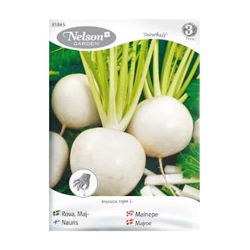 Frö Majrova Nelson Garden Snowball