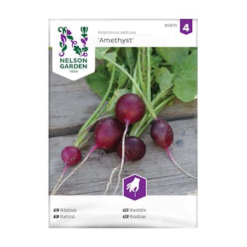 Frö Rädisa Nelson Garden Amethyst