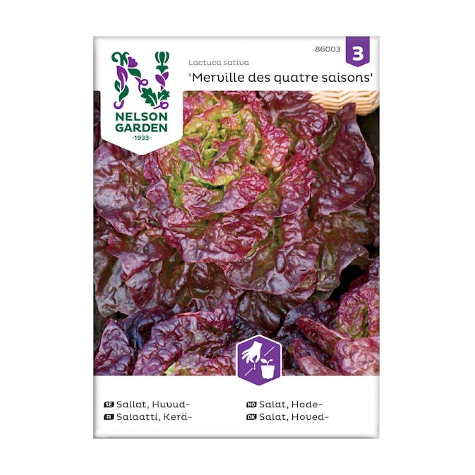 Frö Huvudsallat Nelson Garden Merveille des quatre sai