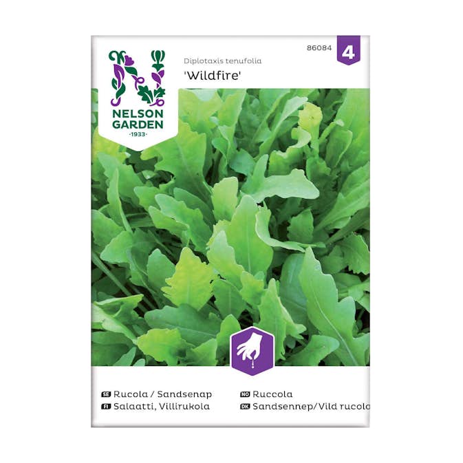Frö Rucola Sandsenap Nelson Garden Wildfire™