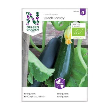 Frö Squash Nelson Garden Black Beauty Organic