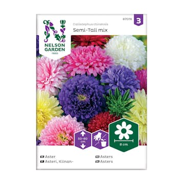 Frö Aster Nelson Garden Dubbel Mix