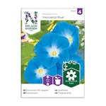 Frö Blomman för dagen Nelson Garden Heavenly Blue