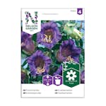 Frö Klockranka Nelson Garden Blå