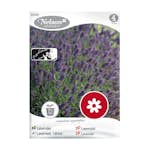 Frö Lavendel Nelson Garden