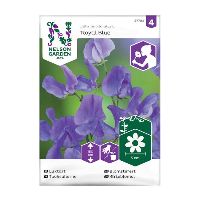 Frö Luktärt Nelson Garden Royal Blue Blå
