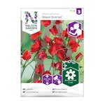 Frö Luktärt Nelson Garden Royal Scarlet Röd