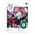 Frö Luktärt Nelson Garden Royal Mix