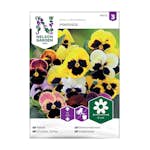 Frö Pensé Nelson Garden Hiemalis Mix