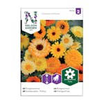 Frö Ringblomma Nelson Garden Mix