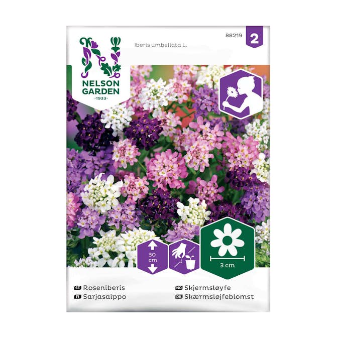 Frö Roseniberis Nelson Garden Mix
