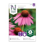 Frö Rudbeckia Nelson Garden Starlight Röd