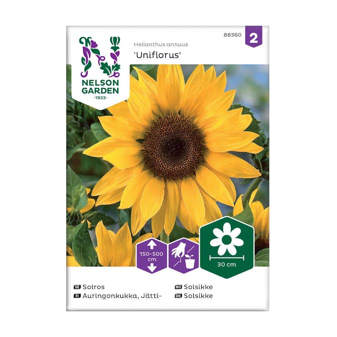 Frö Jättesolros Nelson Garden