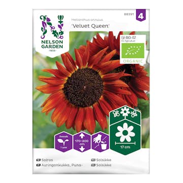 Frö Solros Nelson Garden Velvet Queen Eko