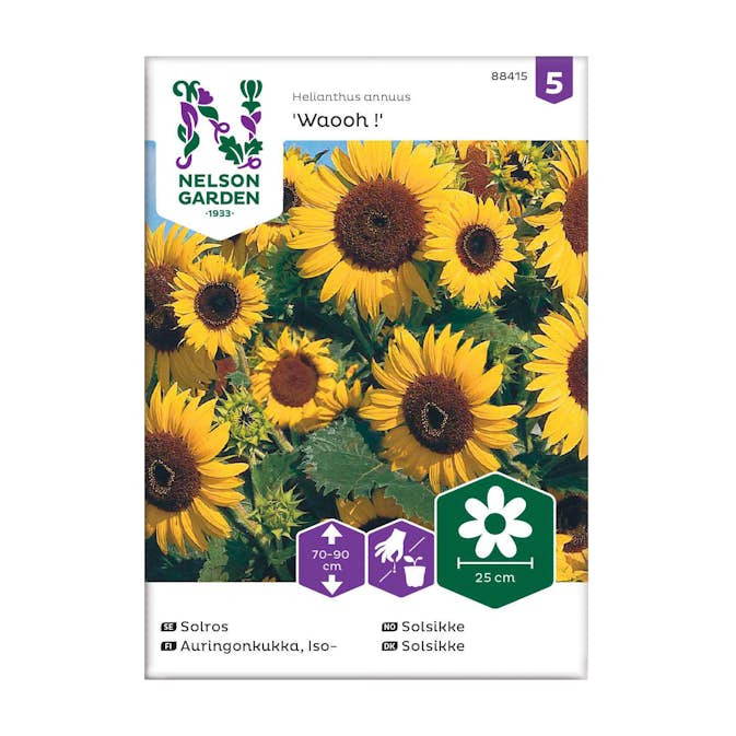Frö Solros Nelson Garden Waooh! Låg