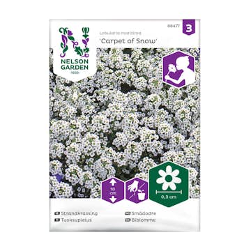 Frö Strandkrassing Nelson Garden Carpet of Snow