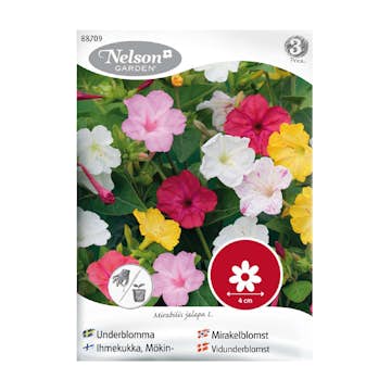 Frö Underblomma Nelson Garden Mix