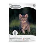 Frö Kattgräs Nelson Garden