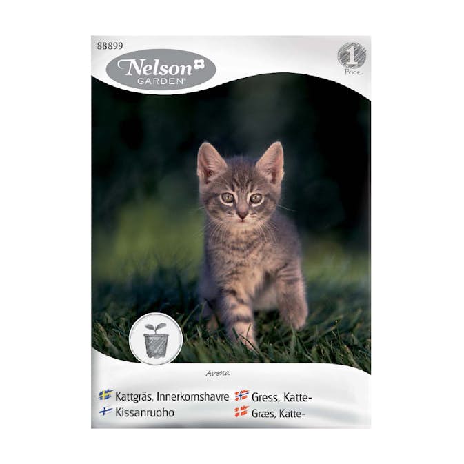 Frö Kattgräs Nelson Garden