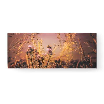 Tavla Art for the Home Flowers and a Bee 40x100
