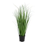 Konstväxt House Nordic Poa