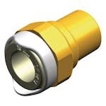 Adapter Whale Hane Mässing NPT 1/2 15 mm