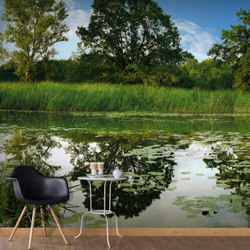 Fototapet Arkiio Självhäftande The Magic Pond II 490x280