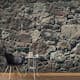 Fototapet Arkiio Självhäftande Stony Curtain II 490x280