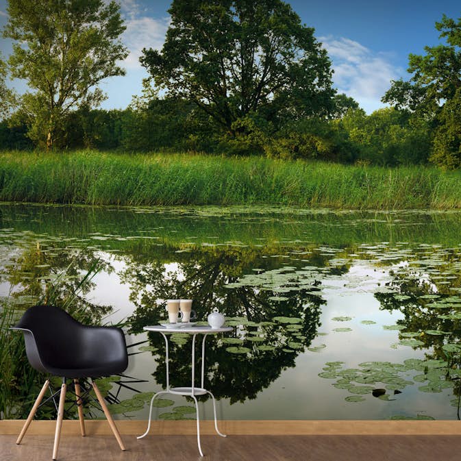 Fototapet Arkiio Självhäftande The Magic Pond III 588x280