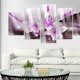 Akrylglastavla Arkiio Violet Desert Lily