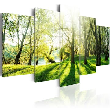 Akrylglastavla Arkiio Green Glade